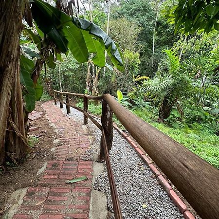 Vila Dos Passaros,Quarto 05 Итапема Экстерьер фото