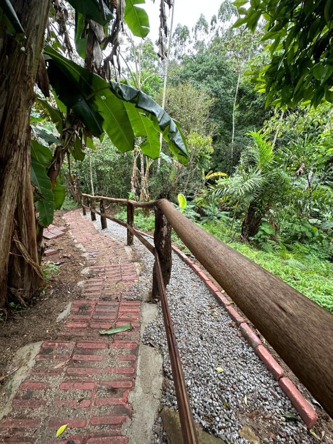 Vila Dos Passaros,Quarto 05 Итапема Экстерьер фото