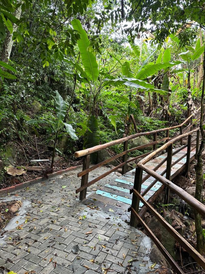 Vila Dos Passaros,Quarto 05 Итапема Экстерьер фото